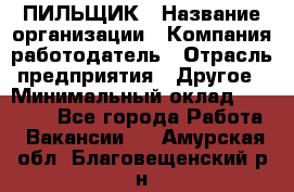 ПИЛЬЩИК › Название организации ­ Компания-работодатель › Отрасль предприятия ­ Другое › Минимальный оклад ­ 35 000 - Все города Работа » Вакансии   . Амурская обл.,Благовещенский р-н